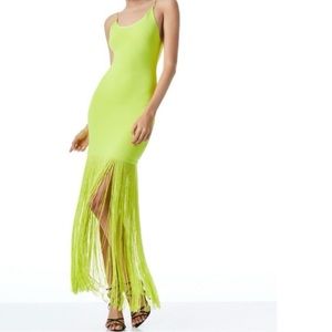 NWT- STEPH SCOOP NECK FRINGE
DRESS Size 0